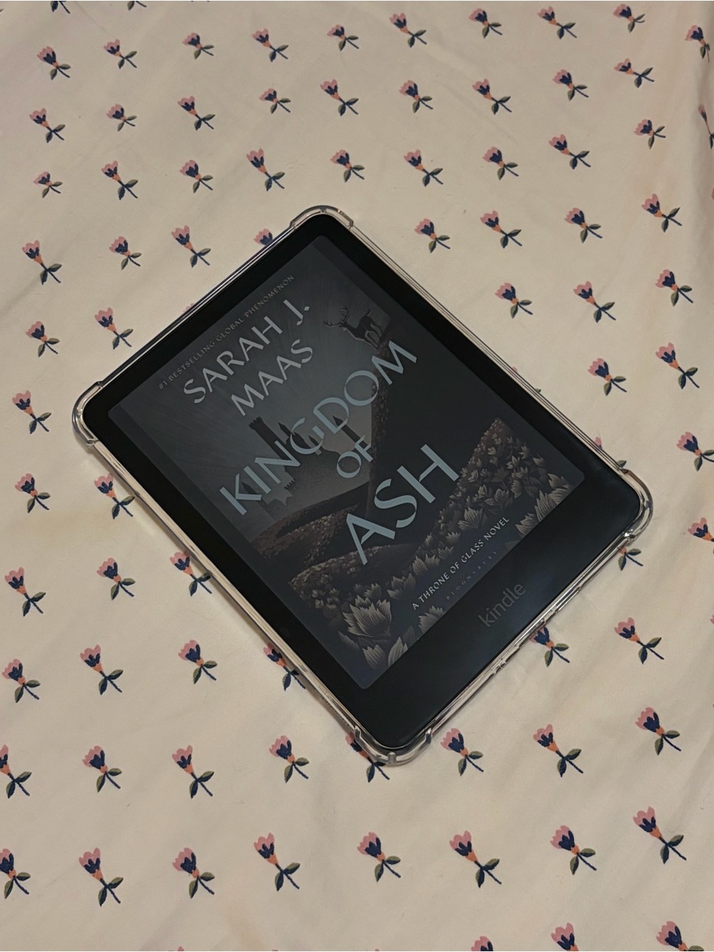Kindle colorsoft 16 GB